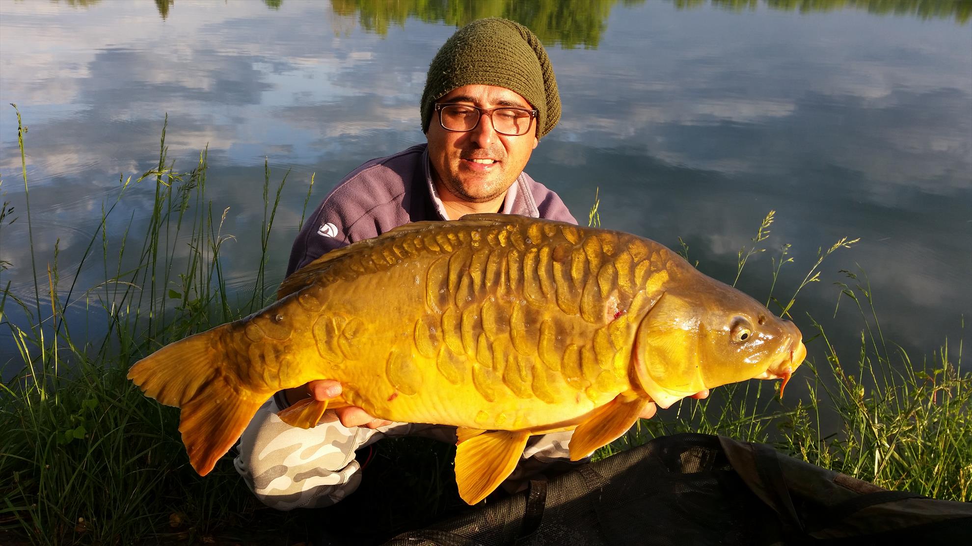 regiune Rhône-Alpes 10 mai 2016 - 20160510072701.jpg